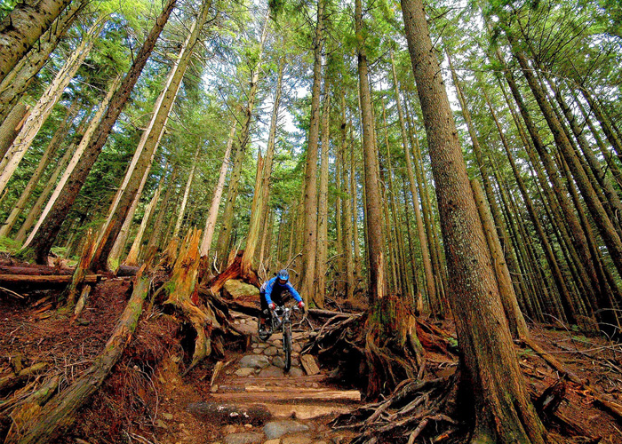 Lake Taupo Holiday Resort | Taupo Adventures 